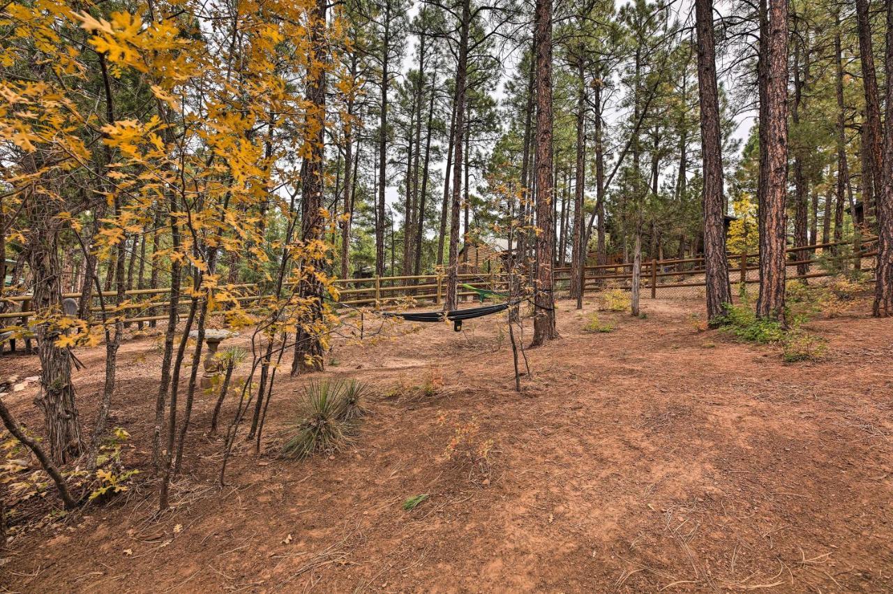 Pet-Friendly Show Low Cabin With Trail Access! Ngoại thất bức ảnh